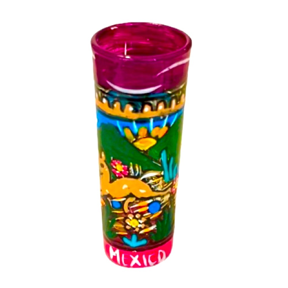 Hand Painted Mexico Souvenir Tall Shot Glass